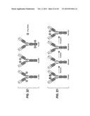 ANTI-CD79B ANTIBODIES AND IMMUNOCONJUGATES AND METHODS OF USE diagram and image