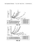 ANTI-CD79B ANTIBODIES AND IMMUNOCONJUGATES AND METHODS OF USE diagram and image