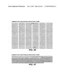 ANTI-CD79B ANTIBODIES AND IMMUNOCONJUGATES AND METHODS OF USE diagram and image