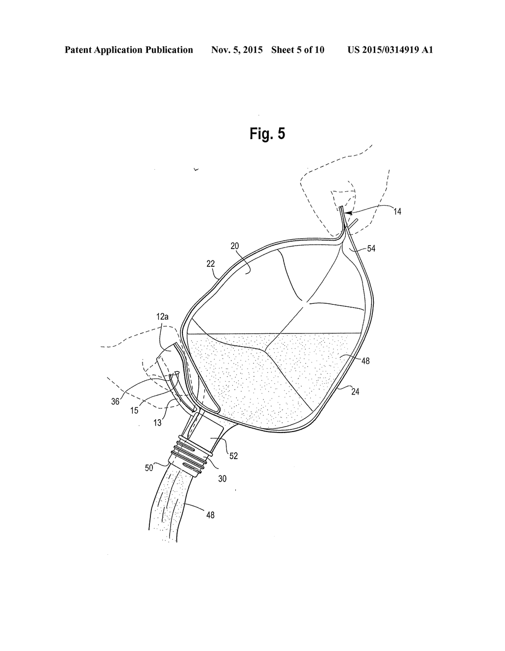 Flexible Container and Process for Producing Same - diagram, schematic, and image 06