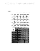 GLASS SUBSTRATE MANUFACTURING METHOD AND GLASS THEREOF diagram and image