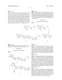 INHIBITORS OF CYTOMEGALOVIRUS diagram and image