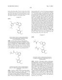 PYRAZOLOPYRIDINE PYRAZOLOPYRIMIDINE AND RELATED COMPOUNDS diagram and image