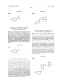 PYRAZOLOPYRIDINE PYRAZOLOPYRIMIDINE AND RELATED COMPOUNDS diagram and image