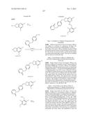 PYRAZOLOPYRIDINE PYRAZOLOPYRIMIDINE AND RELATED COMPOUNDS diagram and image