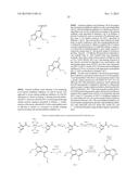 PYRAZOLOPYRIDINE PYRAZOLOPYRIMIDINE AND RELATED COMPOUNDS diagram and image