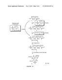 Combinatorial Synthesis of Libraries of Macrocyclic Compounds Useful in     Drug Discovery diagram and image