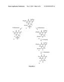 Combinatorial Synthesis of Libraries of Macrocyclic Compounds Useful in     Drug Discovery diagram and image