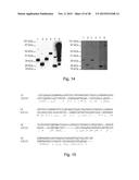 CLOSTRIDIUM DIFFICILE POLYPEPTIDES AS VACCINE diagram and image