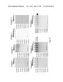 CLOSTRIDIUM DIFFICILE POLYPEPTIDES AS VACCINE diagram and image