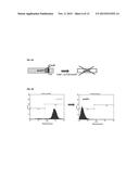 PROTEIN ENRICHED MICROVESICLES AND METHODS OF MAKING AND USING THE SAME diagram and image