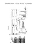 IMMUNE MODULATOR FOR IMMUNOTHERAPY AND VACCINE FORMULATION diagram and image