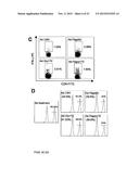 IMMUNE MODULATOR FOR IMMUNOTHERAPY AND VACCINE FORMULATION diagram and image