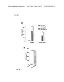 IMMUNE MODULATOR FOR IMMUNOTHERAPY AND VACCINE FORMULATION diagram and image