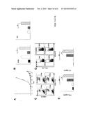 IMMUNE MODULATOR FOR IMMUNOTHERAPY AND VACCINE FORMULATION diagram and image