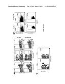 IMMUNE MODULATOR FOR IMMUNOTHERAPY AND VACCINE FORMULATION diagram and image