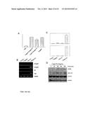 IMMUNE MODULATOR FOR IMMUNOTHERAPY AND VACCINE FORMULATION diagram and image