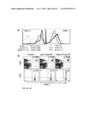 IMMUNE MODULATOR FOR IMMUNOTHERAPY AND VACCINE FORMULATION diagram and image