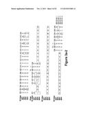 OPTIMIZED Fc VARIANTS diagram and image