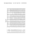 OPTIMIZED Fc VARIANTS diagram and image