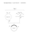 HUMAN CDR-GRAFTED ANTIBODY AND ANTIBODY FRAGMENT THEREOF diagram and image