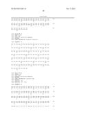 HUMAN CDR-GRAFTED ANTIBODY AND ANTIBODY FRAGMENT THEREOF diagram and image