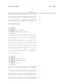 HUMAN CDR-GRAFTED ANTIBODY AND ANTIBODY FRAGMENT THEREOF diagram and image