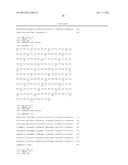 ANTIBODIES DIRECTED TO THE DELETION MUTANTS OF EPIDERMAL GROWTH FACTOR     RECEPTOR AND USES THEREOF diagram and image