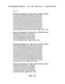 ANTIBODIES DIRECTED TO THE DELETION MUTANTS OF EPIDERMAL GROWTH FACTOR     RECEPTOR AND USES THEREOF diagram and image