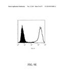 ANTIBODIES DIRECTED TO THE DELETION MUTANTS OF EPIDERMAL GROWTH FACTOR     RECEPTOR AND USES THEREOF diagram and image