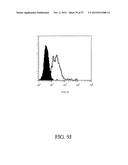 ANTIBODIES DIRECTED TO THE DELETION MUTANTS OF EPIDERMAL GROWTH FACTOR     RECEPTOR AND USES THEREOF diagram and image