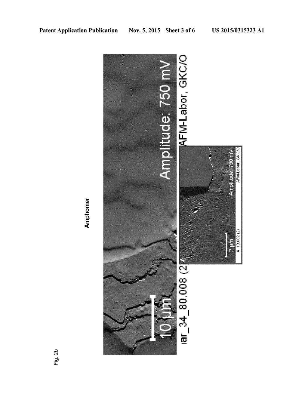 Cationizable Rheology Modifying And Setting Means, Composition Thereof And     Method Of Making Both - diagram, schematic, and image 04