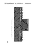 Cationizable Rheology Modifying And Setting Means, Composition Thereof And     Method Of Making Both diagram and image