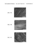 MULTI-FUNCTIONAL HIGH PERFORMANCE NANOCOATINGS FROM A FACILE CO-ASSEMBLY     PROCESS diagram and image