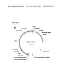 VARIANTS HAVING GLUCOAMYLASE ACTIVITY diagram and image