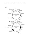 VARIANTS HAVING GLUCOAMYLASE ACTIVITY diagram and image