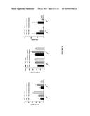 Methods and Compositions for Modulating the Immune System with Arginase I diagram and image