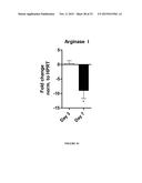 Methods and Compositions for Modulating the Immune System with Arginase I diagram and image