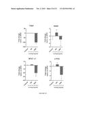 Methods and Compositions for Modulating the Immune System with Arginase I diagram and image