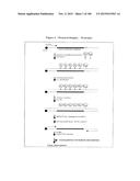 TEMPLATED MOLECULES AND METHODS FOR USING SUCH MOLECULES diagram and image