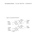 TEMPLATED MOLECULES AND METHODS FOR USING SUCH MOLECULES diagram and image