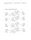 TEMPLATED MOLECULES AND METHODS FOR USING SUCH MOLECULES diagram and image