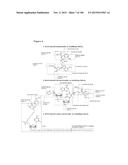 TEMPLATED MOLECULES AND METHODS FOR USING SUCH MOLECULES diagram and image