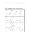 TEMPLATED MOLECULES AND METHODS FOR USING SUCH MOLECULES diagram and image