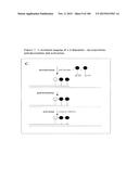 TEMPLATED MOLECULES AND METHODS FOR USING SUCH MOLECULES diagram and image