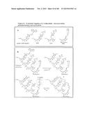 TEMPLATED MOLECULES AND METHODS FOR USING SUCH MOLECULES diagram and image