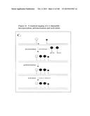 TEMPLATED MOLECULES AND METHODS FOR USING SUCH MOLECULES diagram and image