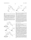 TEMPLATED MOLECULES AND METHODS FOR USING SUCH MOLECULES diagram and image