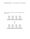 TEMPLATED MOLECULES AND METHODS FOR USING SUCH MOLECULES diagram and image