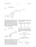 TEMPLATED MOLECULES AND METHODS FOR USING SUCH MOLECULES diagram and image